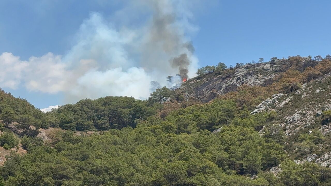 Gazipaşa Karadağ’da Yeniden Orman Yangını Çıktı (6)