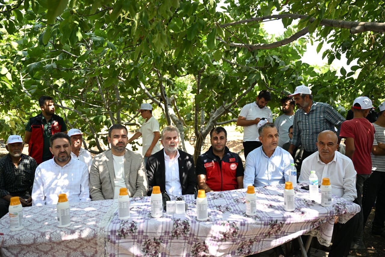 Gw O K Ayo W4 A A Q Z6H