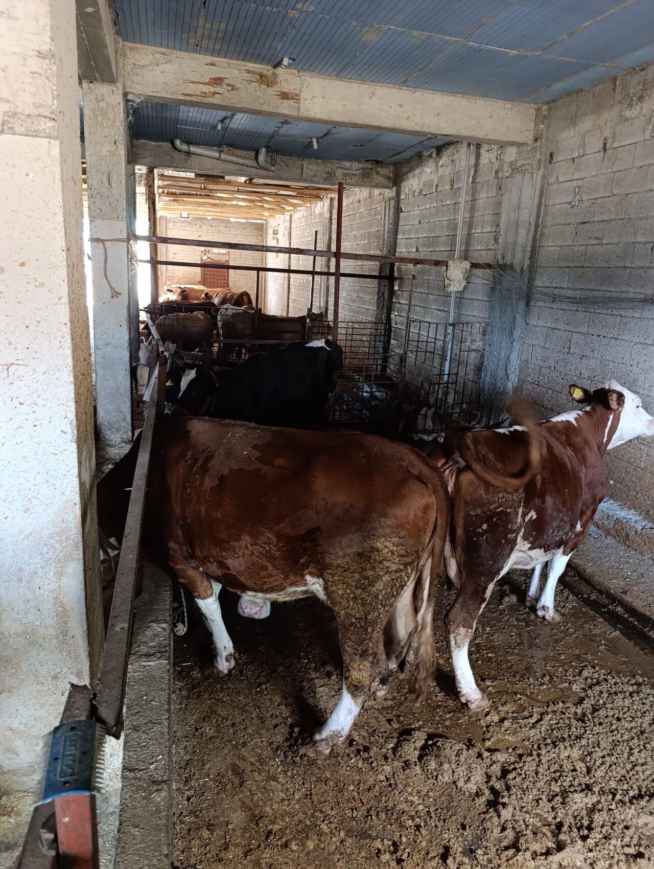 Gw3 A Nuq W E A Ay Iq L