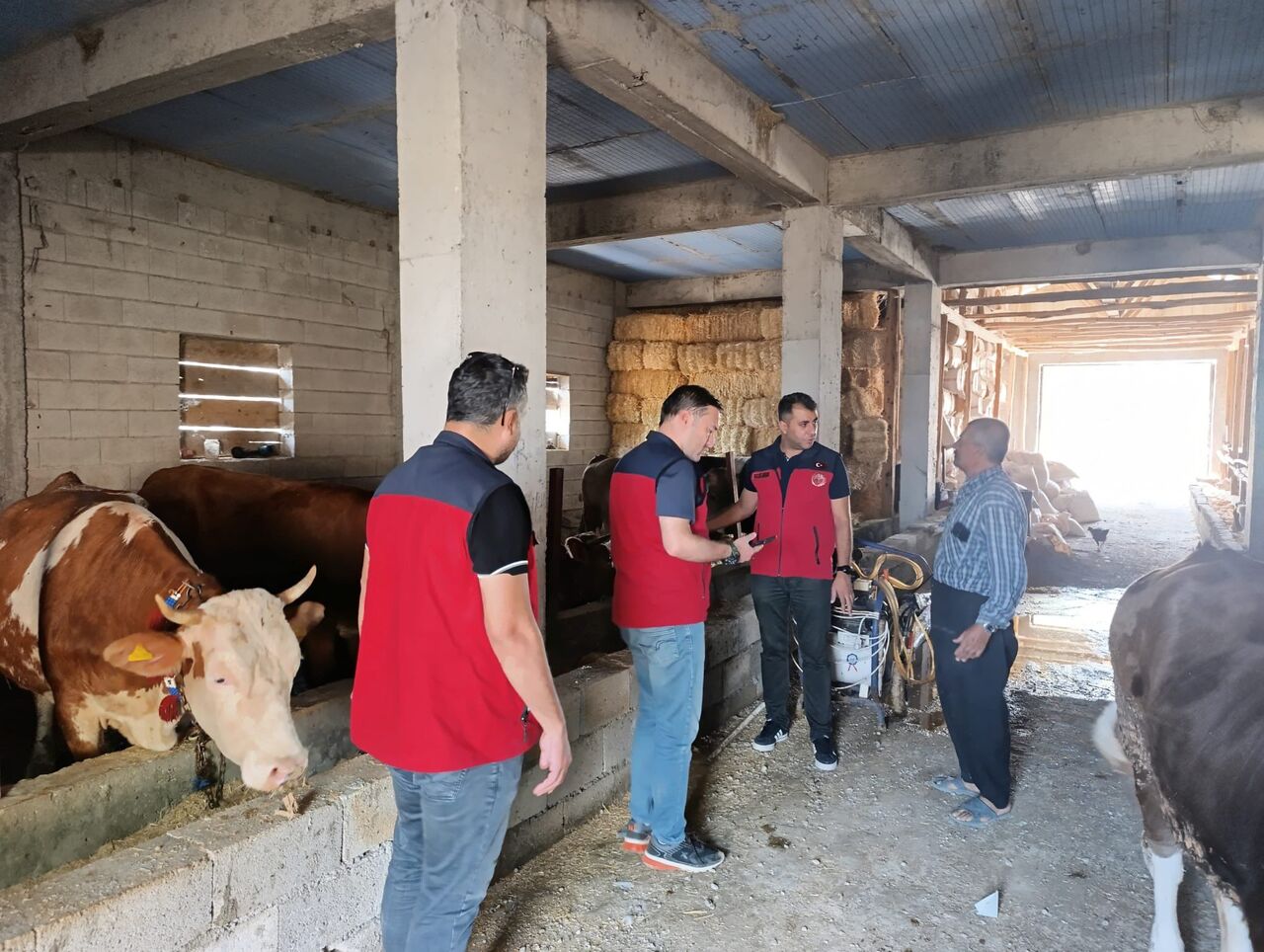 Gw3 A Nv C Xo A Ar8 Lg