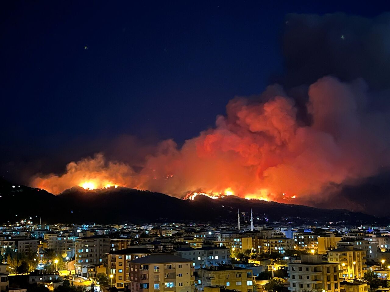 Hatay Orman Yangını (1)