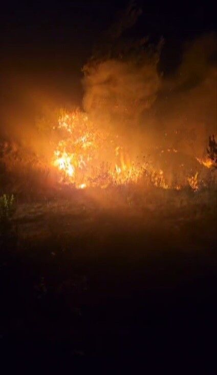Hatay Samandağ’da Orman Yangını Kısa Sürede Kontrol Altına Alındı (2)