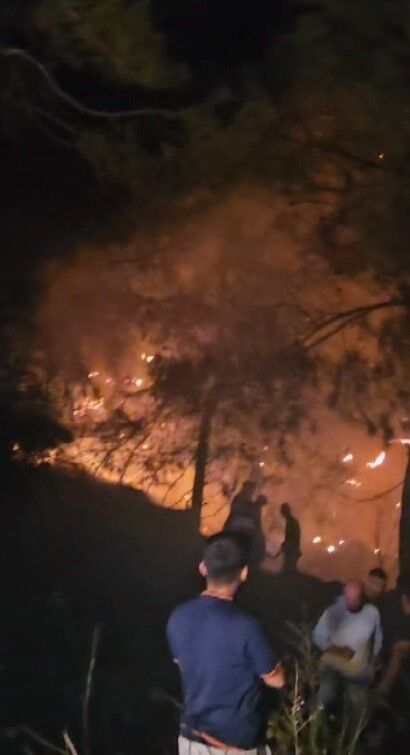 Hatay Samandağ’da Orman Yangını Kısa Sürede Kontrol Altına Alındı (4)