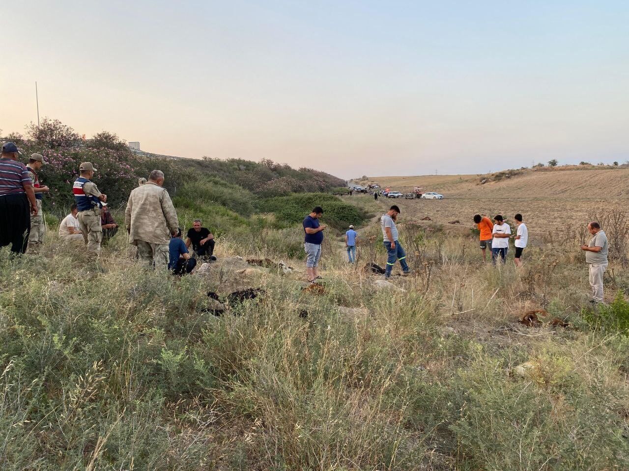 Hatay'da Fabrika Atıkları Alarmı Dere Suyundan İçen 64 Keçi Telef Oldu (1)