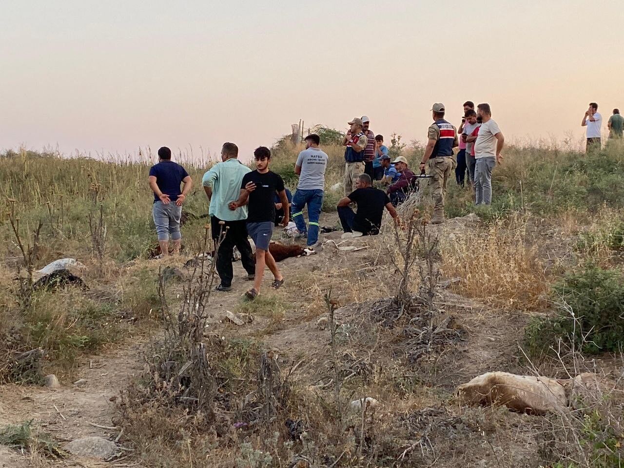 Hatay'da Fabrika Atıkları Alarmı Dere Suyundan İçen 64 Keçi Telef Oldu (3)