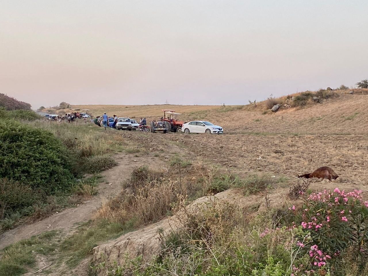 Hatay'da Fabrika Atıkları Alarmı Dere Suyundan İçen 64 Keçi Telef Oldu (6)