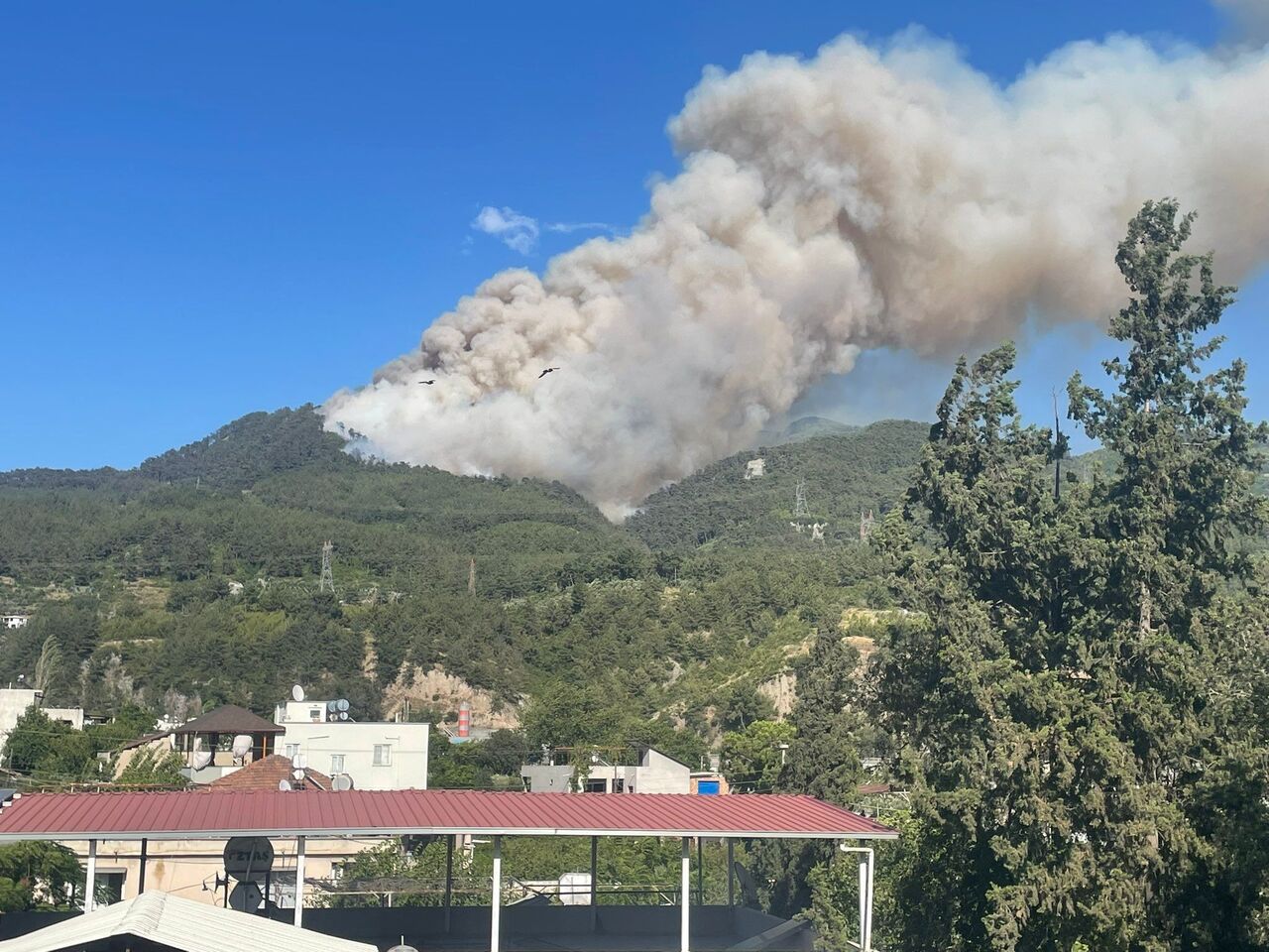 Hatay’da Ormanlık Alanda Korkutan Yangın (1)