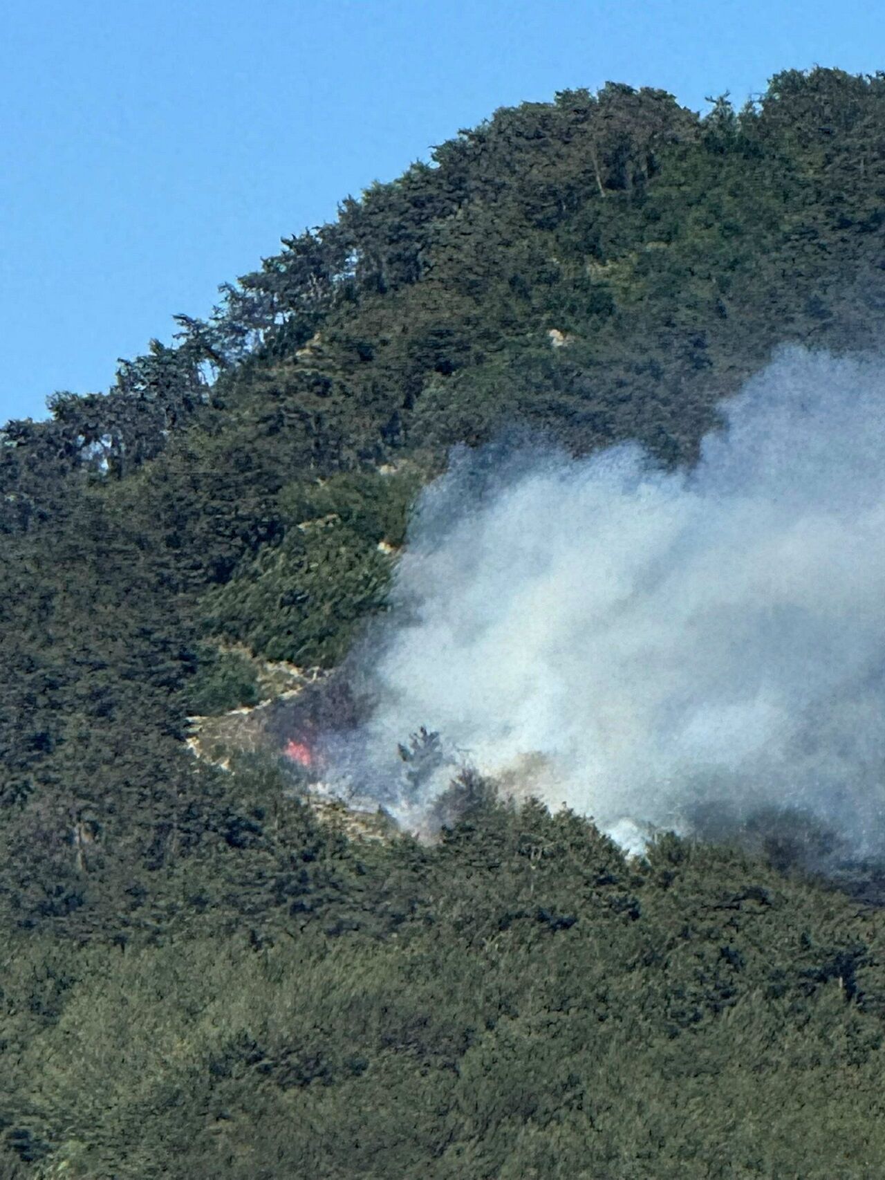 Hatay’da Ormanlık Alanda Korkutan Yangın (3)-1