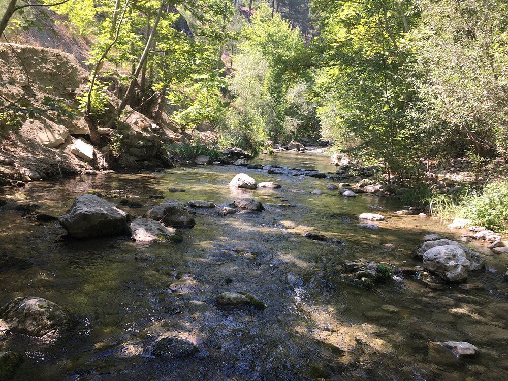 Hem Cardakta Hem De Ayaklarini