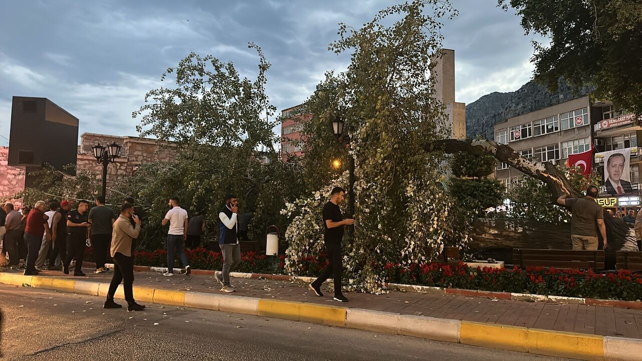 Isparta Eğirdir’de 457 Yıllık Anıt Ağaç Devrildi Facianın Eşiğinden Dönüldü (1)