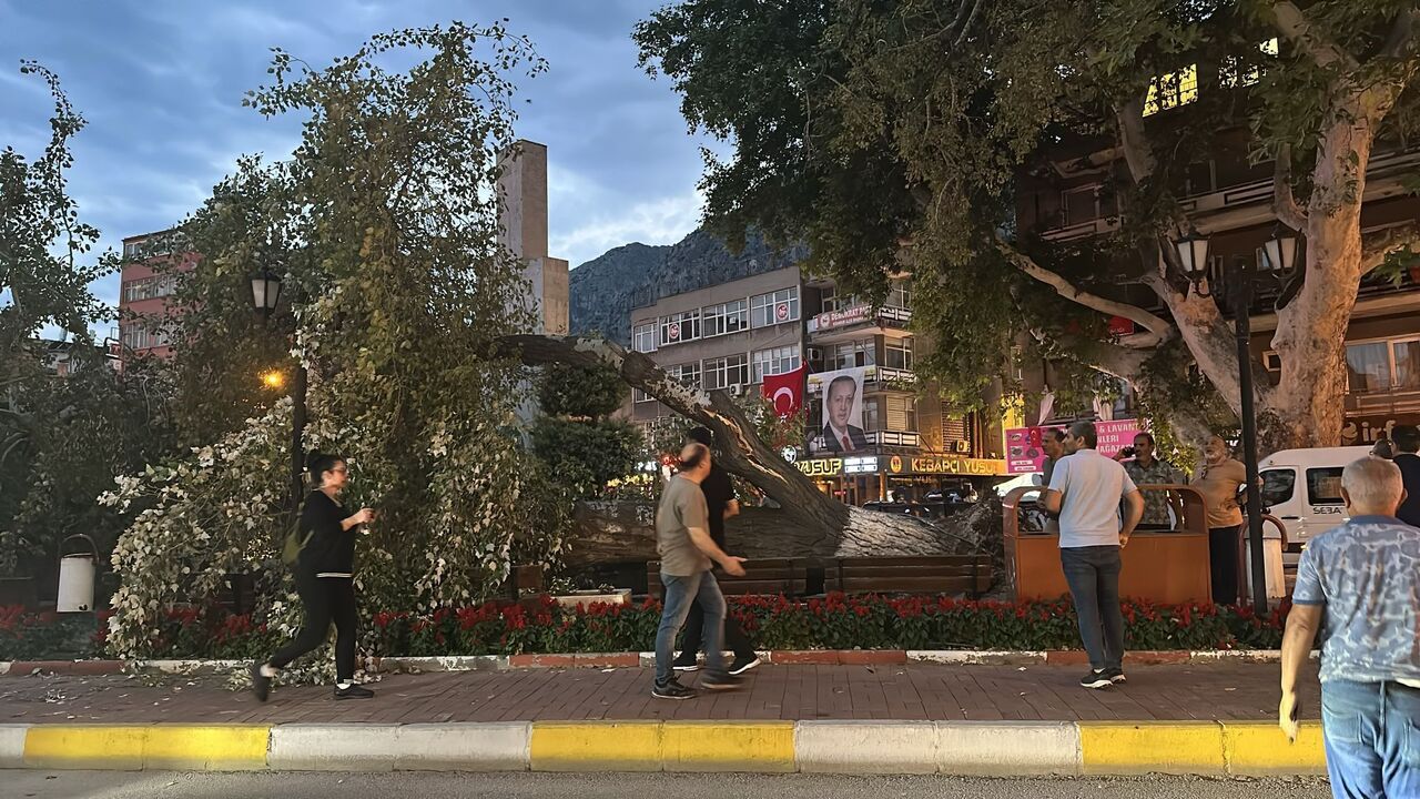 Isparta Eğirdir’de 457 Yıllık Anıt Ağaç Devrildi Facianın Eşiğinden Dönüldü (5)