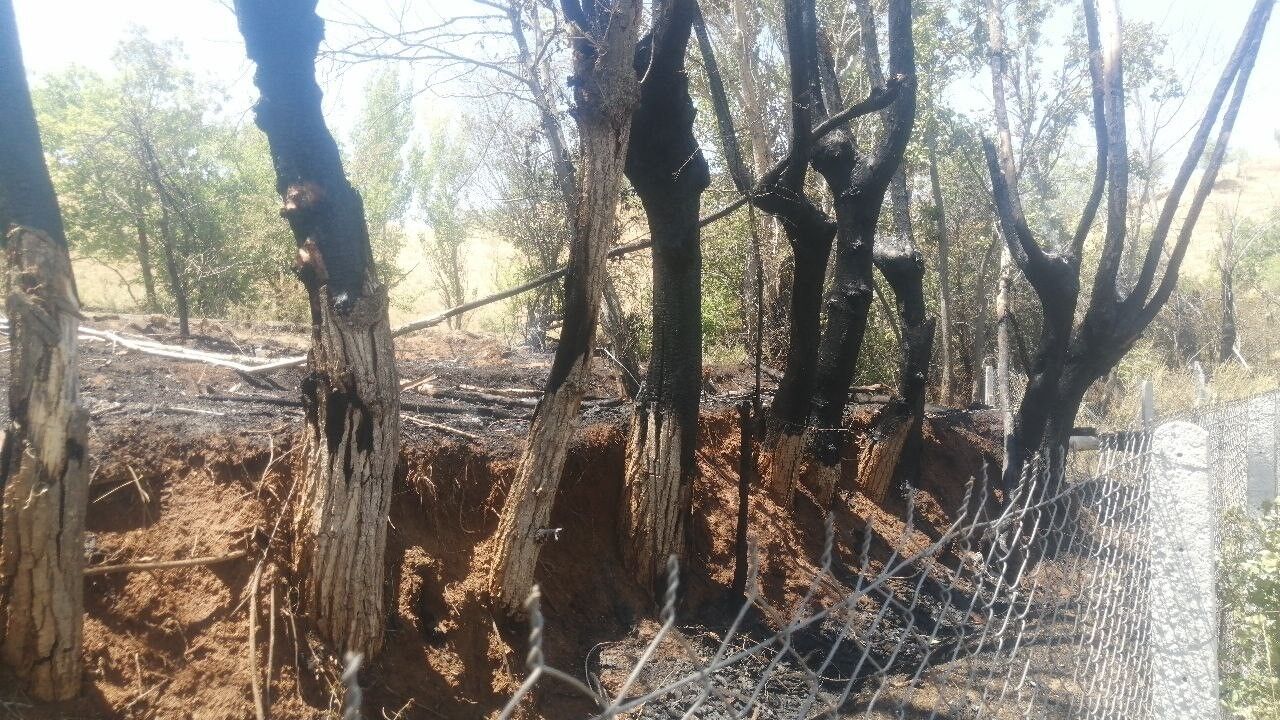 Isparta Hisarardı’da Kontrolsüz Ateş 8 Dönümlük Alanı Küle Çevirdi (1)