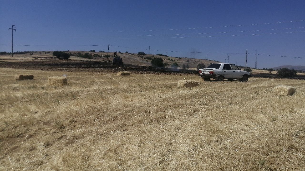 Isparta Yalvaç’ta 30 Dönümlük Tarım Arazisi Yangında Zarar Gördü (1)