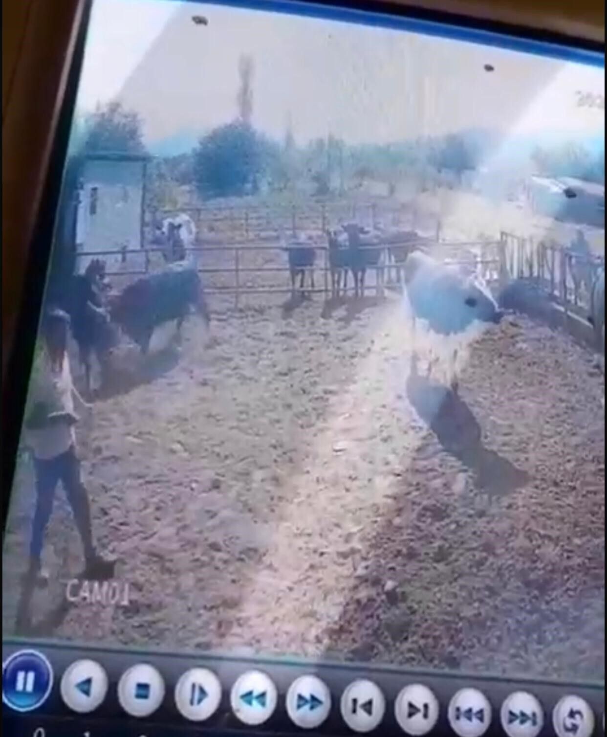 Isparta’da Yasaklı Madde Operasyonunda 2 Kişi Yakalandı. 1006 Kullanımlık Maddeye El Konuldu, Bir Şüpheli Gözaltına Alındı (2)