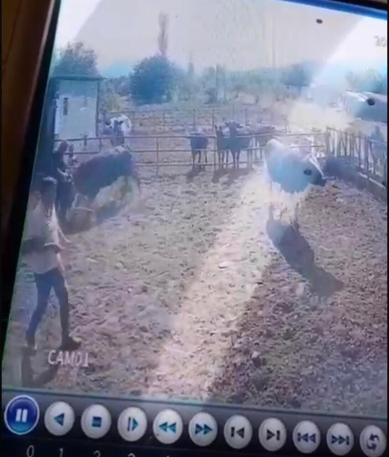 Isparta’da Yasaklı Madde Operasyonunda 2 Kişi Yakalandı. 1006 Kullanımlık Maddeye El Konuldu, Bir Şüpheli Gözaltına Alındı (3)