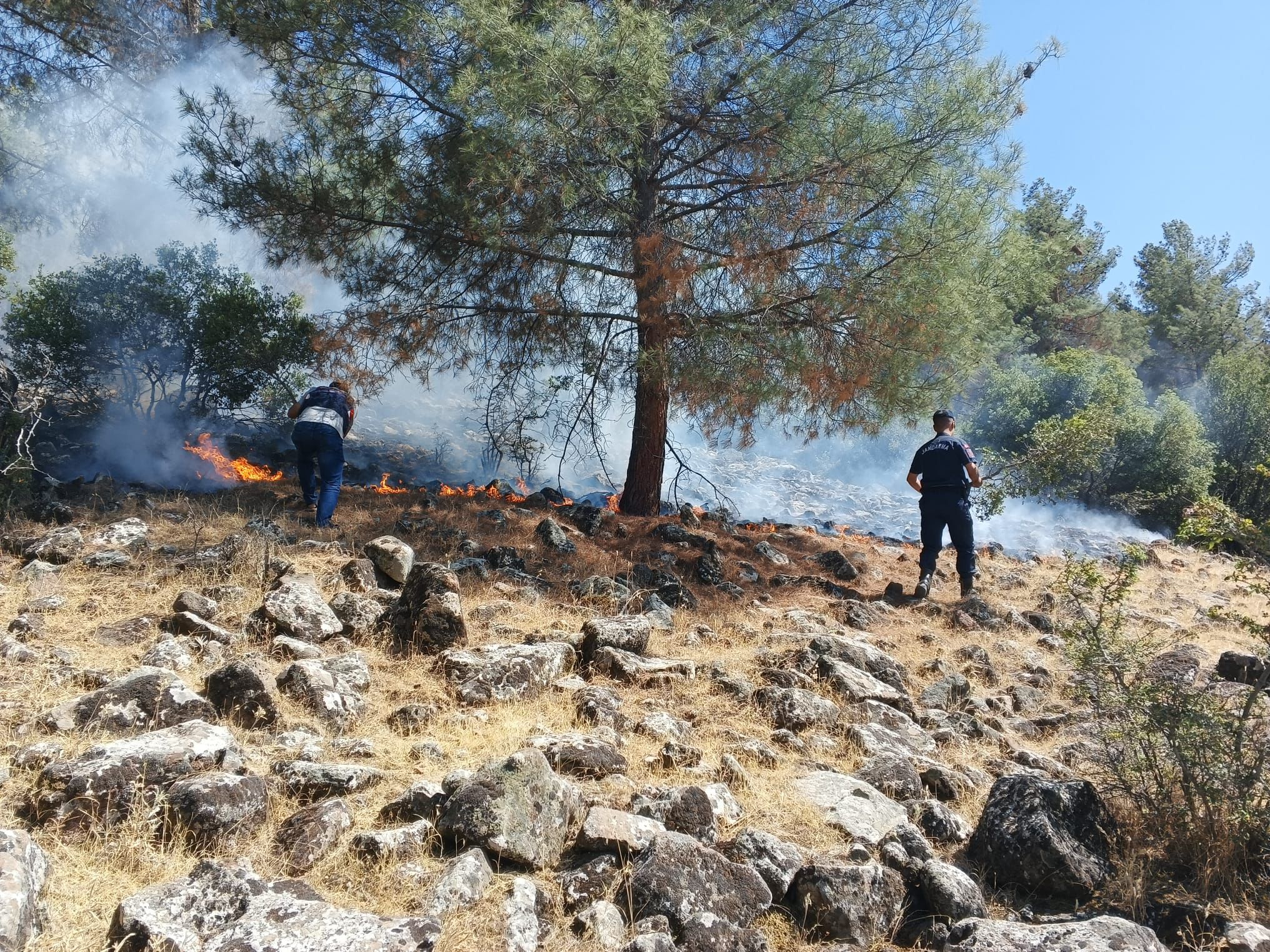 Kahramanmaraş Pazarcık'ta Orman Yangını Jandarma Devriyesi Sayesinde Erken Müdahaleyle Söndürüldü (1)