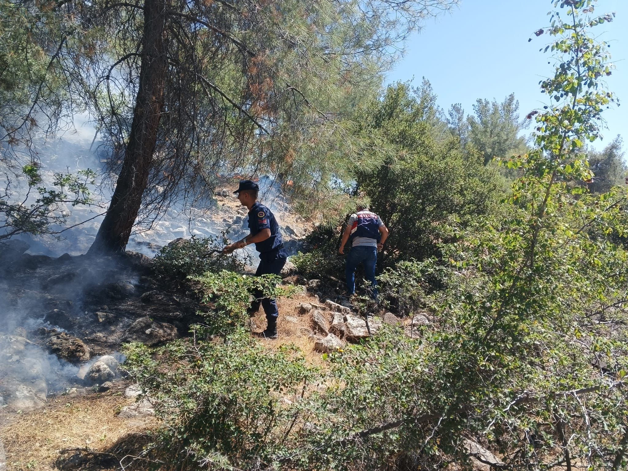 Kahramanmaraş Pazarcık'ta Orman Yangını Jandarma Devriyesi Sayesinde Erken Müdahaleyle Söndürüldü (2)