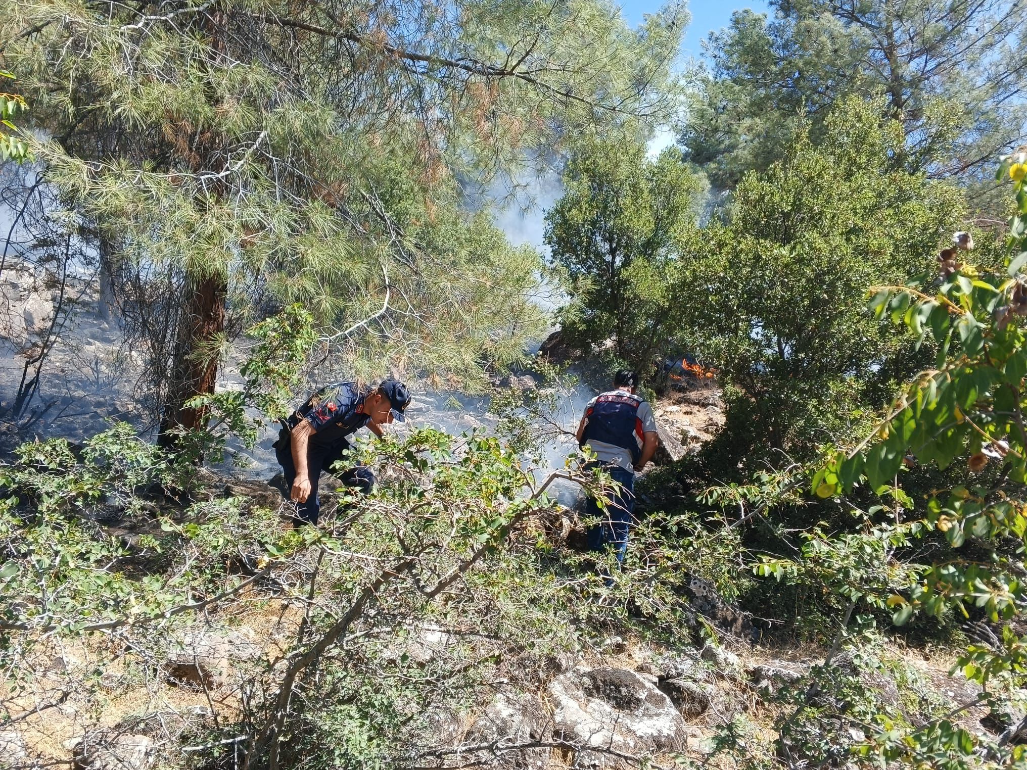 Kahramanmaraş Pazarcık'ta Orman Yangını Jandarma Devriyesi Sayesinde Erken Müdahaleyle Söndürüldü (3)