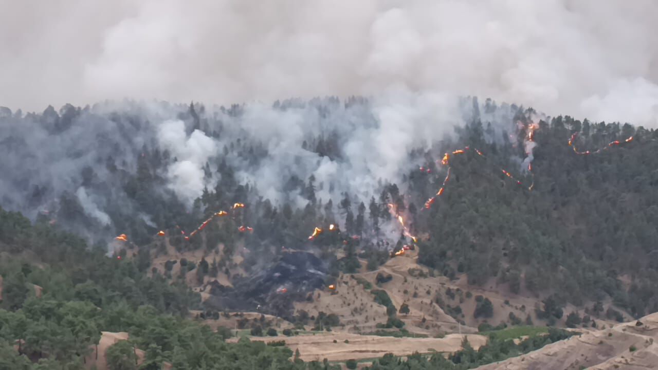 Kahramanmaraş'ın Ciğerleri Yanıyor 3 Kişi Zehirlendi! (3)