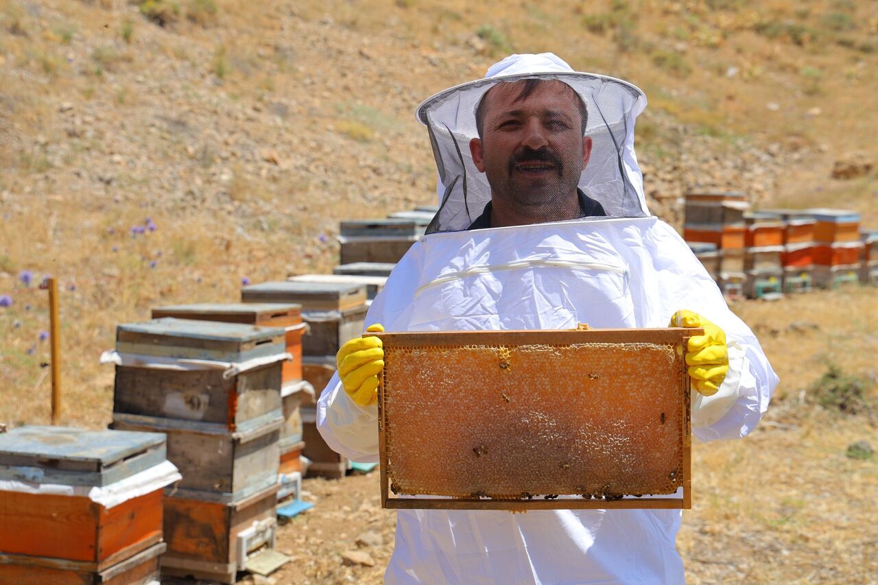 Kahramanmaraş’ın Engizek Yaylası’nda Bal Mesaisi Başladı (1)