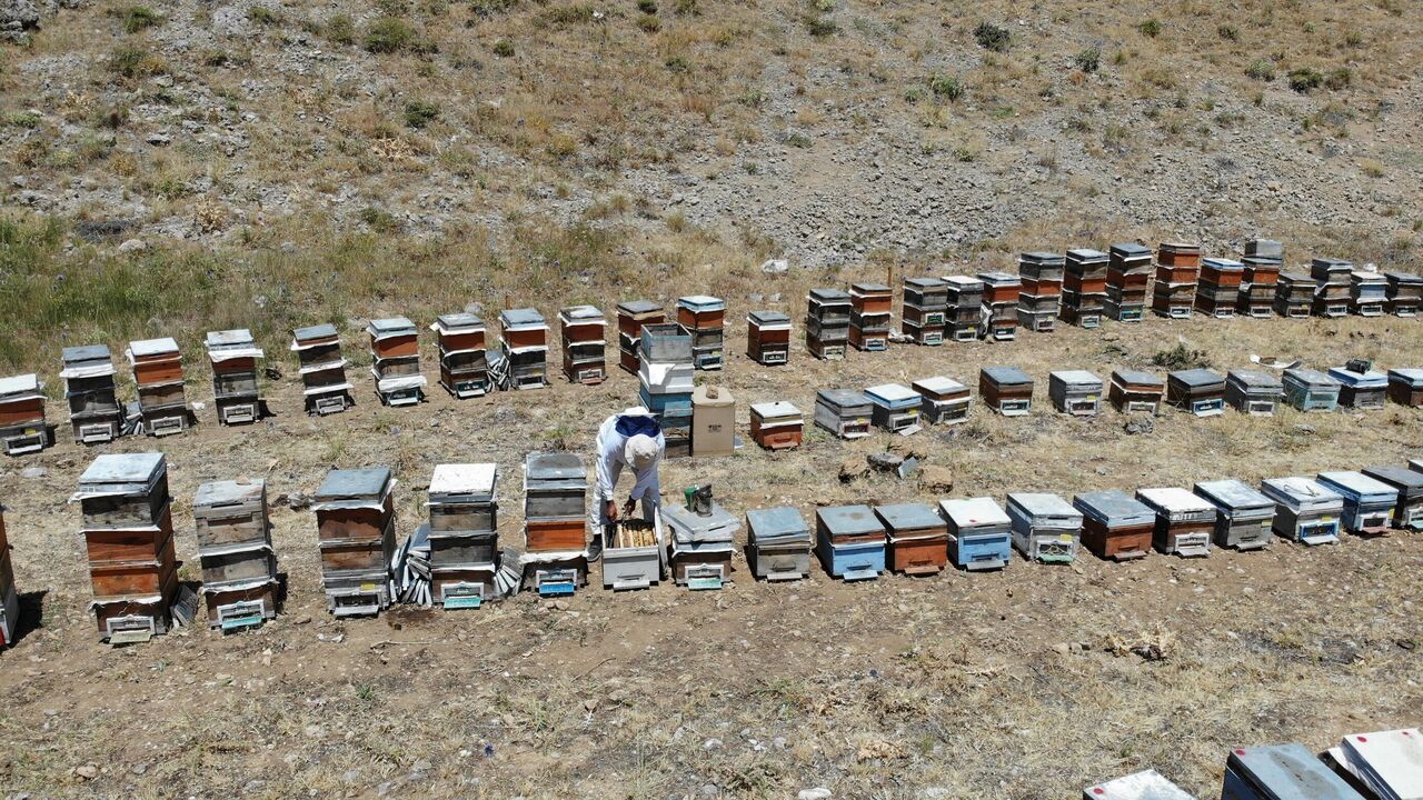 Kahramanmaraş’ın Engizek Yaylası’nda Bal Mesaisi Başladı (3)