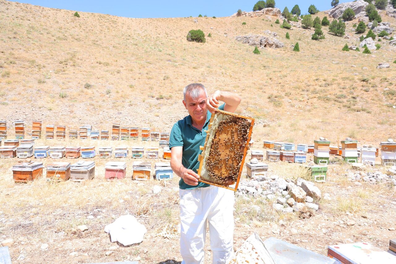 Kahramanmaraş’ın Engizek Yaylası’nda Bal Mesaisi Başladı (5)