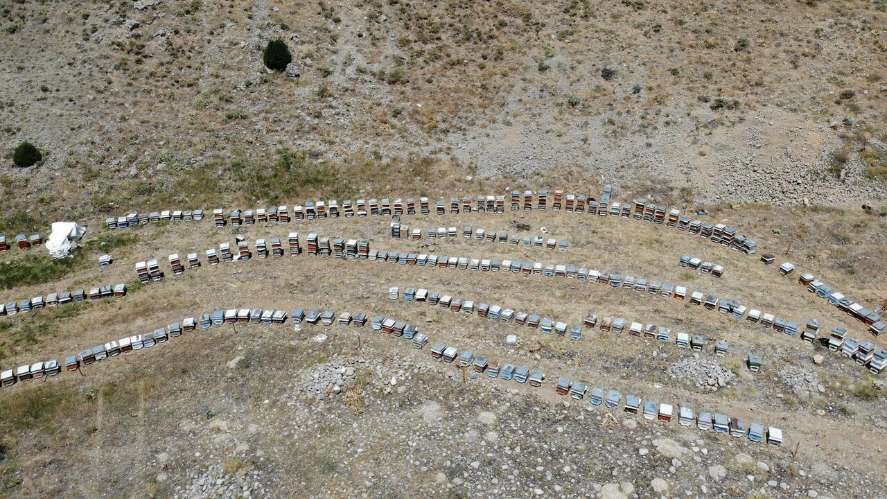 Kahramanmaraş’ın Engizek Yaylası’nda Bal Mesaisi Başladı (6)