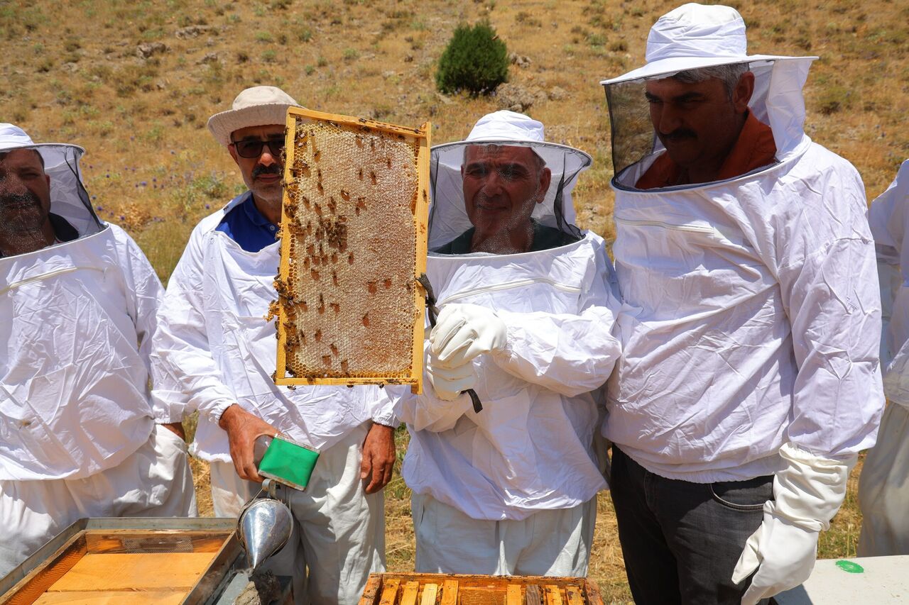 Kahramanmaraş’ın Engizek Yaylası’nda Bal Mesaisi Başladı (7)