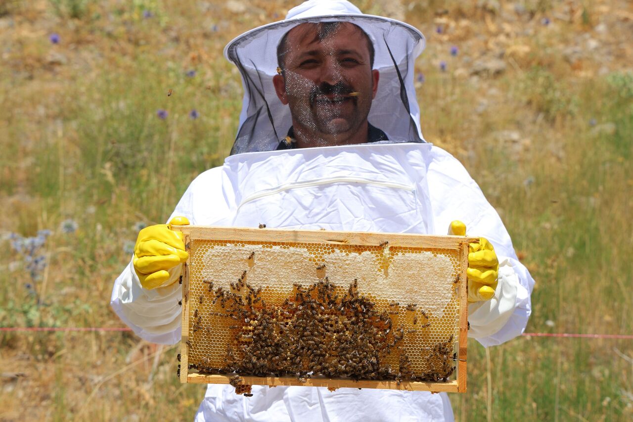 Kahramanmaraş’ın Engizek Yaylası’nda Bal Mesaisi Başladı (9)