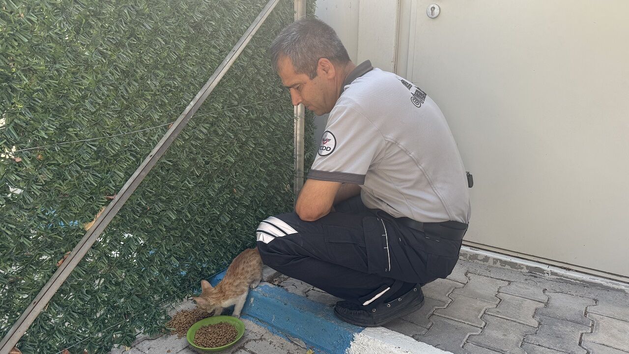 Kahramanmaraş’ta Kediyi Kurtaran Şef Gönülleri Fethetti (4)