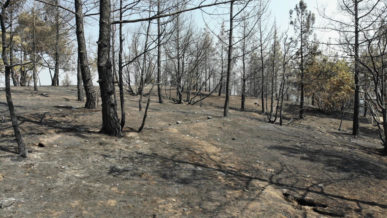 Kahramanmaraş’ta Orman Yangını 3. Gününde Devam Ediyor 6 Helikopter Sahada (6)