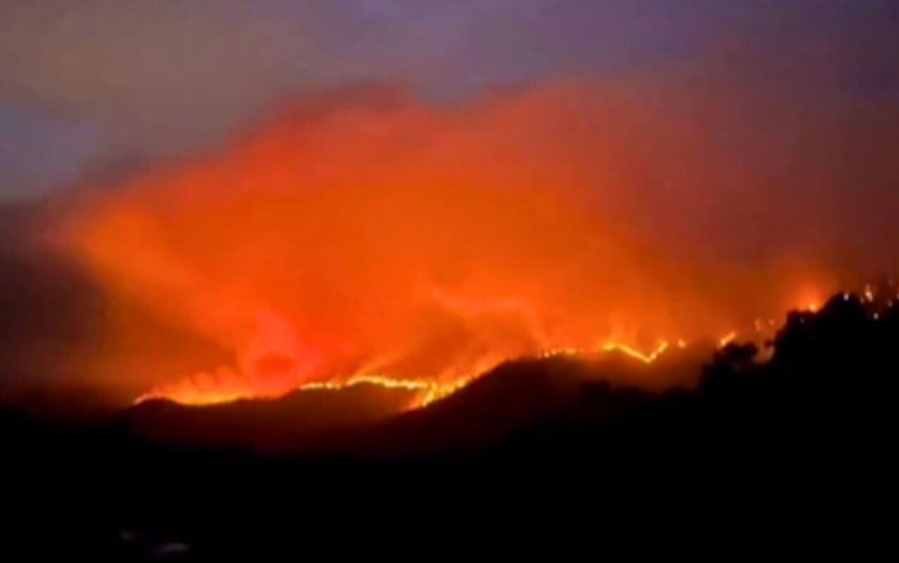 Kahramanmaraş'ta Orman Yangını Durdurulamıyor, 20 Ev Tahliye Edildi
