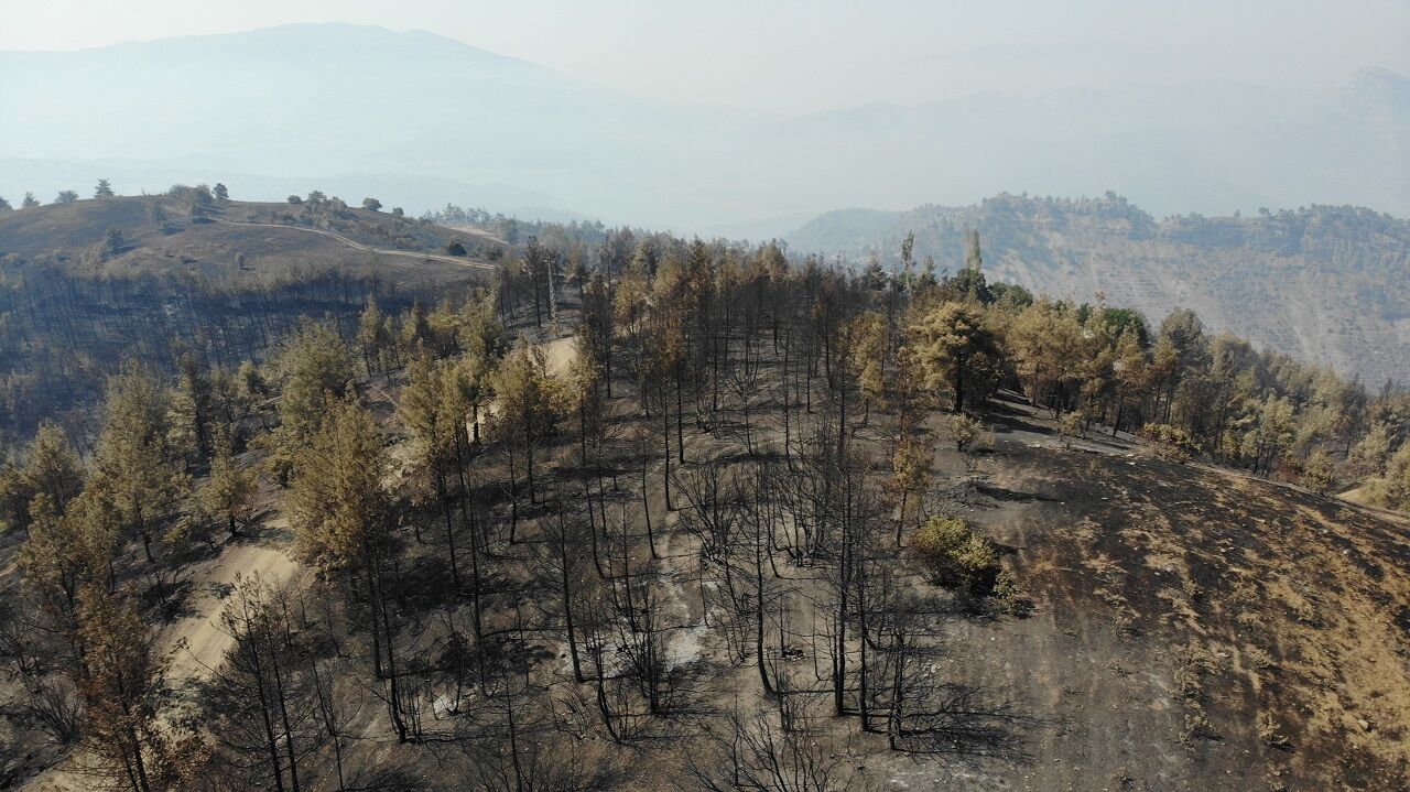 Kahramanmaraş'ta Yangın Sonrası Küle Dönen Ormanlık Alan Dronla Görüntülendi (3)