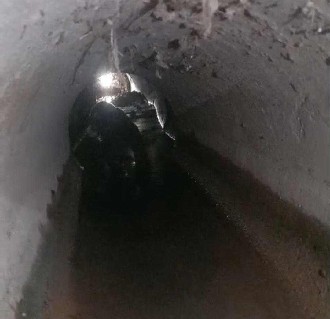 Kanalizasyon Borusuna Sıkışan Yavru Köpeği Itfaiye Kurtardı (4)