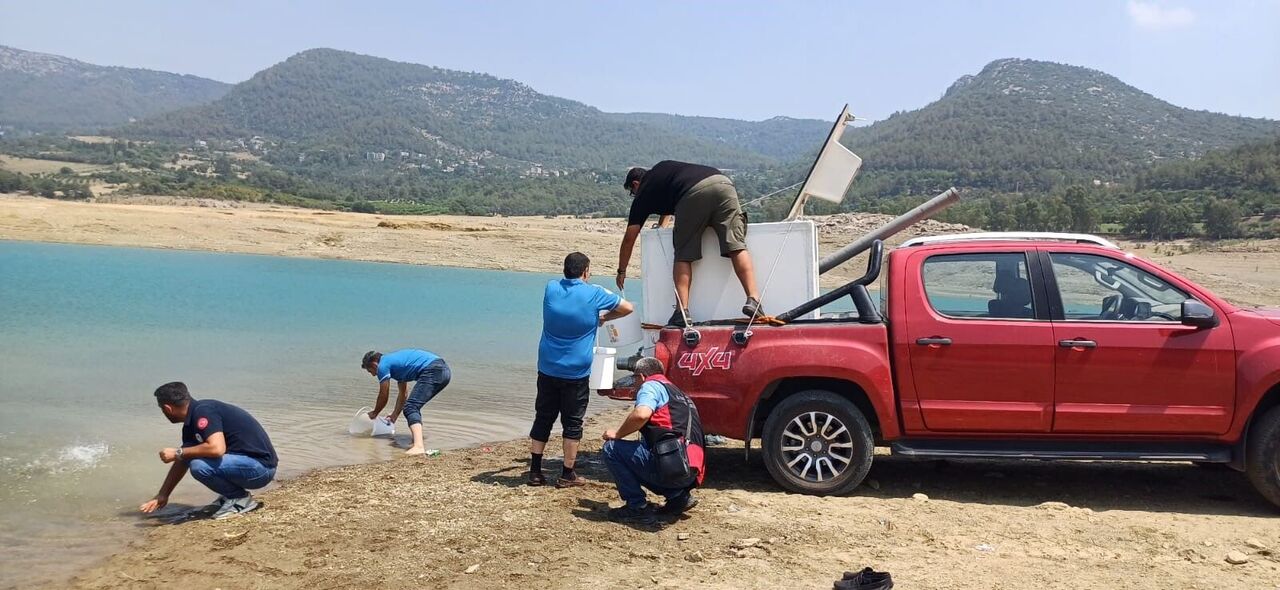 Kilgen Barajı'na 321 Bin Yavru Sazan, Baraja Bırakıldı (2)