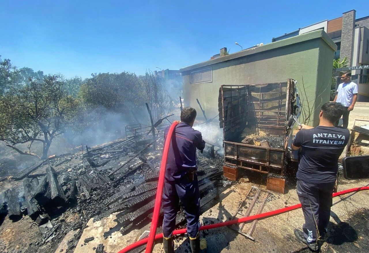 Lüks Villalara Yakın Noktada Çıkan Yangın Korkuttu (2)
