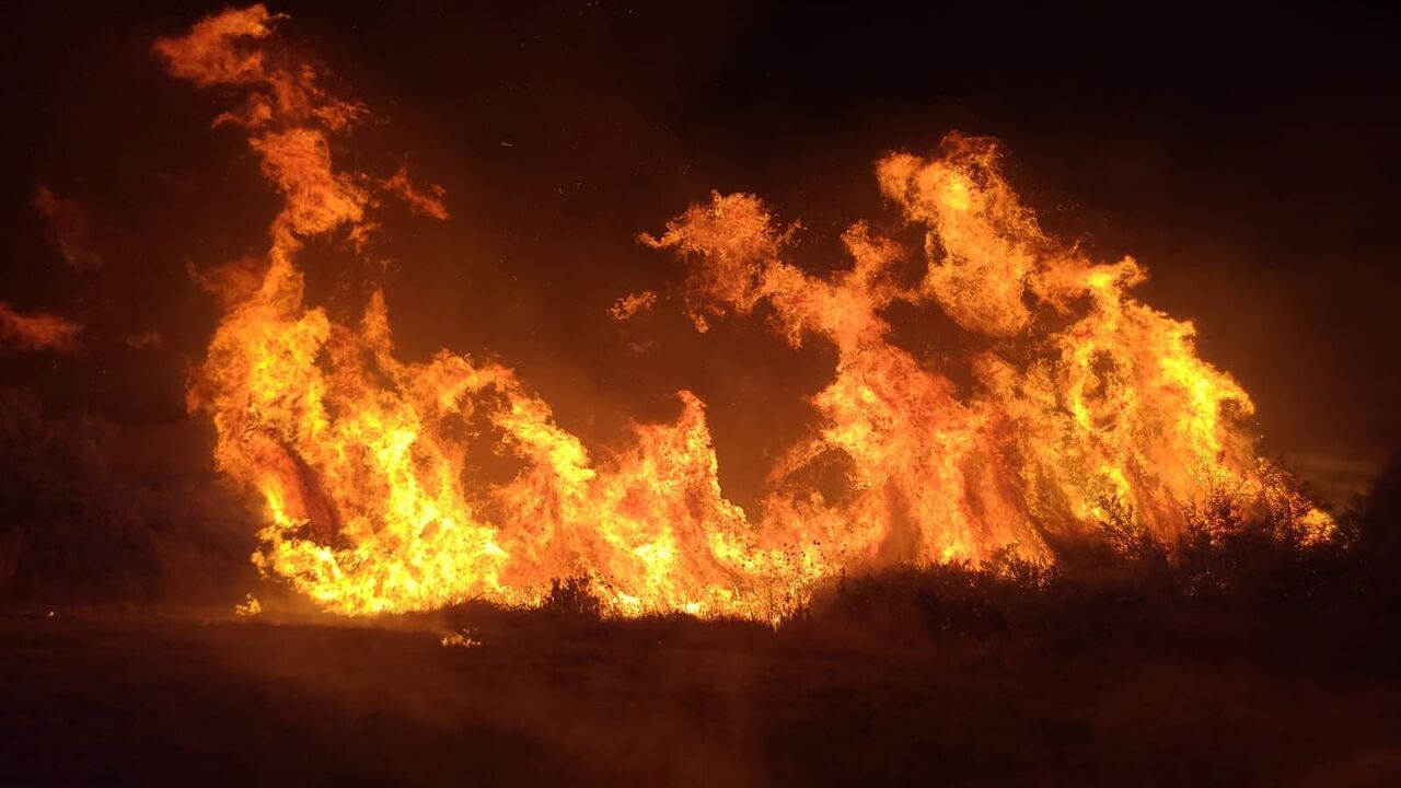 Manavgat'taki Yangında 8 Dönümlük Tarım Arazisi Zarar Gördü (1)
