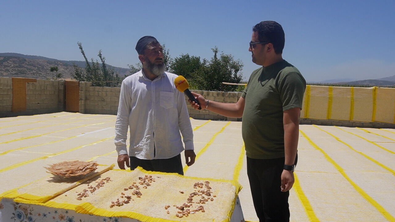 Maraş Tarhanasının Tane Tane Yolculuğu Maraş Tarhanası Nasıl Yapılıyor (1)