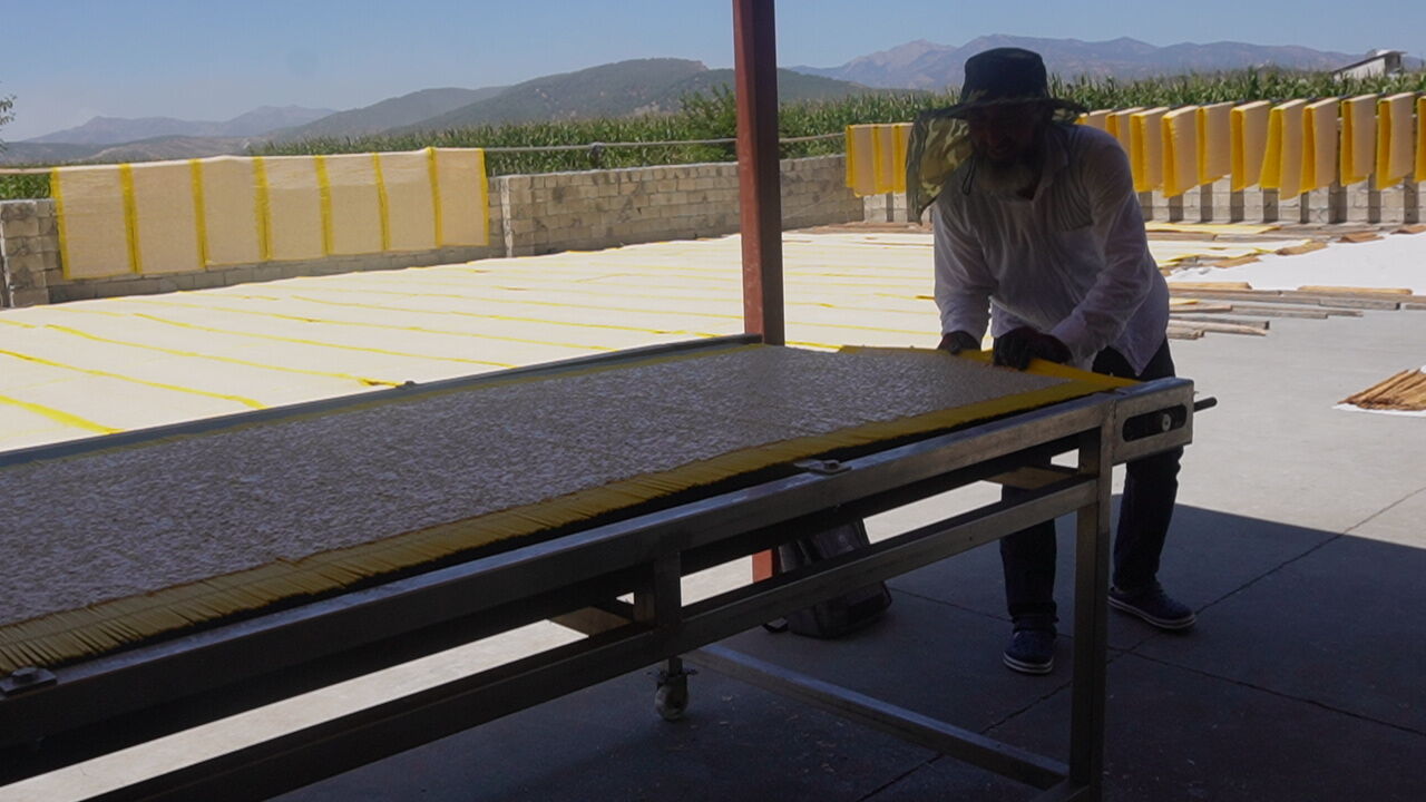 Maraş Tarhanasının Tane Tane Yolculuğu Maraş Tarhanası Nasıl Yapılıyor (6)