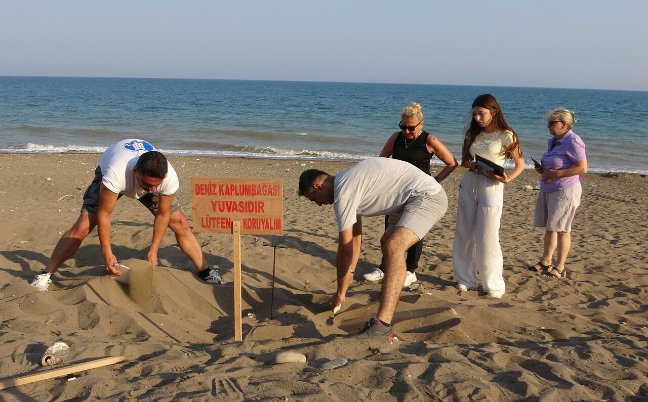 Mersin Sahillerinde Deniz Kaplumbağalarının Ilk Yavruları Akdeniz'le Buluştu (8)
