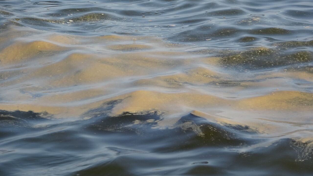 Mersin Sahillerinde Deniz Kirliliği Alarm Veriyor (1)