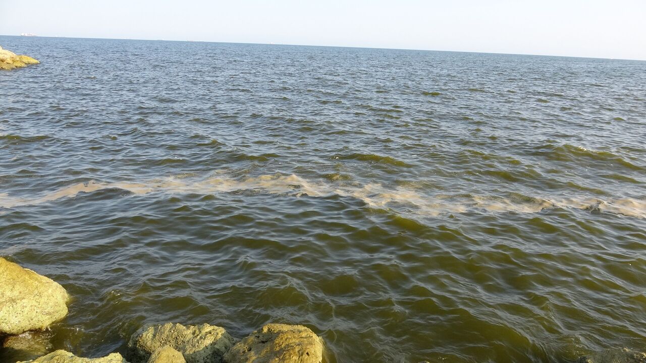 Mersin Sahillerinde Deniz Kirliliği Alarm Veriyor (5)