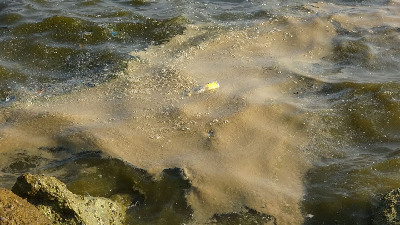 Mersin Sahillerinde Deniz Kirliliği Alarm Veriyor (7)