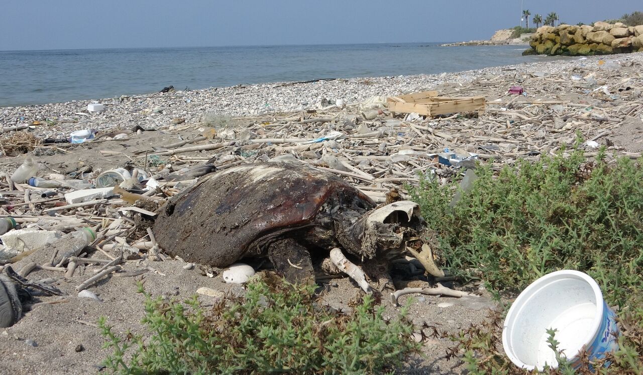Mersin Sahillerinde Endişelendiren Görüntü (5)