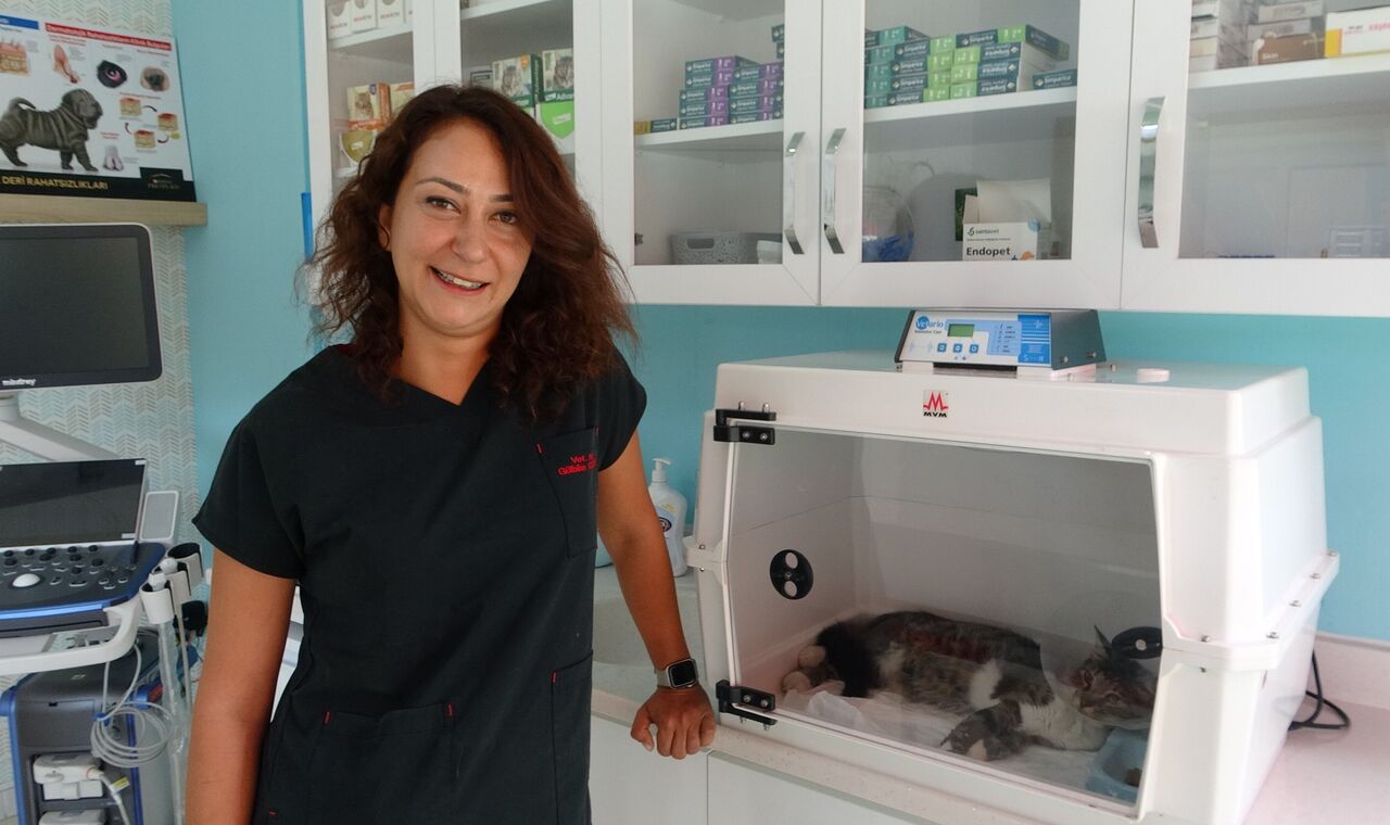 Mersin'de Bir Şahıs, Köpeğiyle Birlikte Yürürken Bir Sokak Kedisini Defalarca Tekmeledi (2)