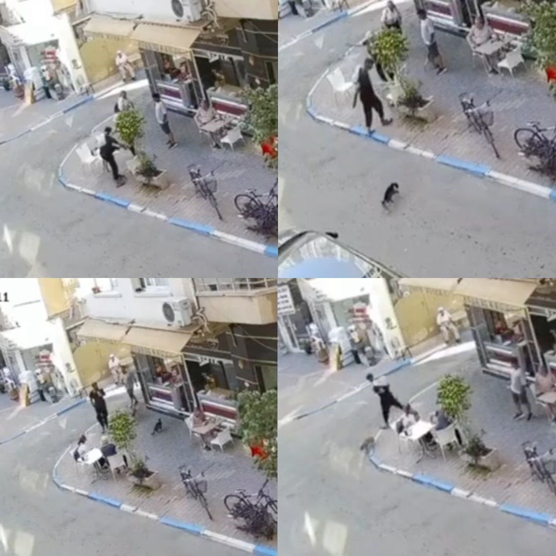 Mersin'de Bir Şahıs, Köpeğiyle Birlikte Yürürken Bir Sokak Kedisini Defalarca Tekmeledi (4)