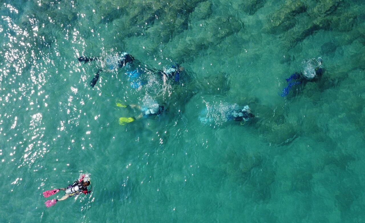 Mersin’de Deniz Biyoçeşitliliği Kampı Kuruldu (4)