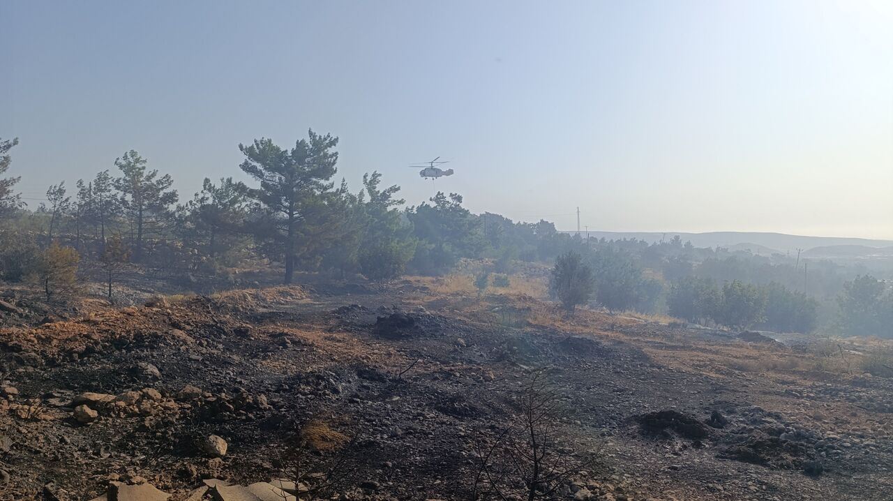 Mersin’deki Orman Yangını Havadan Müdahale Başladı (1)-1