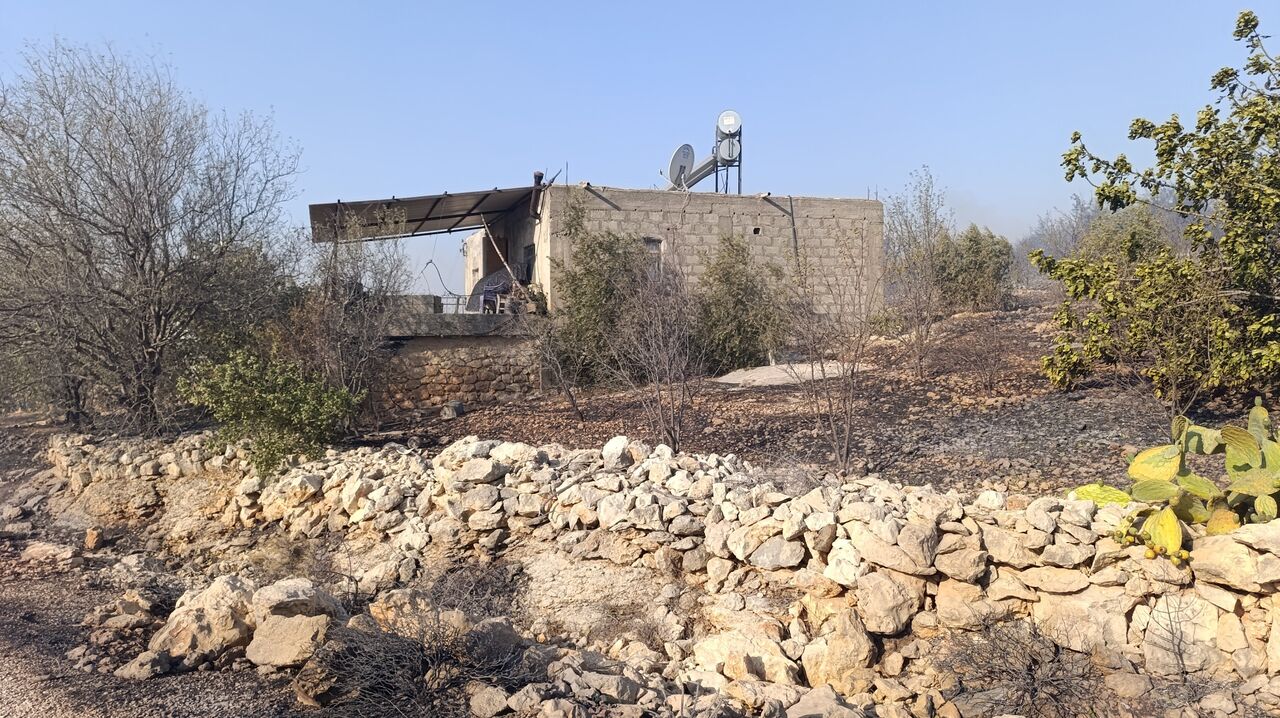 Mersin’deki Orman Yangını Havadan Müdahale Başladı (7)