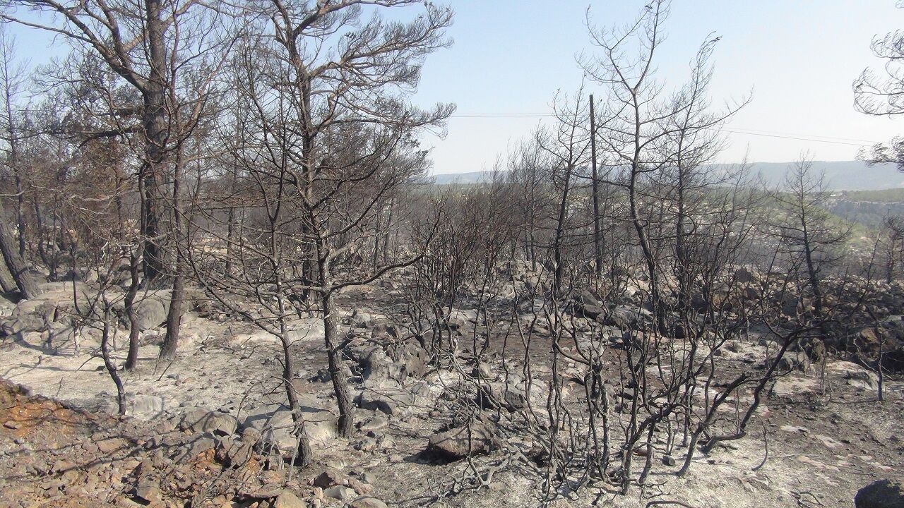 Mersin’deki Orman Yangınına 3 Helikopter Ve Arazözlerle Müdahale Ediliyor (5)